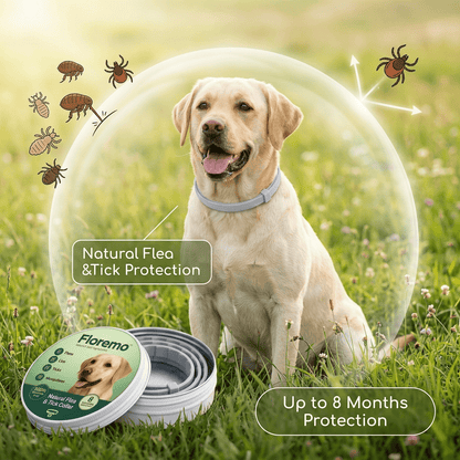 Floremo™ 8 Months Flea and Tick Free