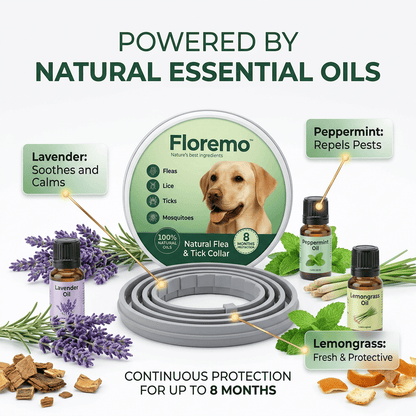 Floremo™ 8 Months Flea and Tick Free