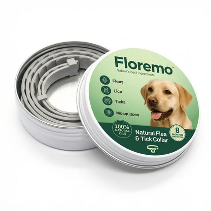 Close-up of Floremo flea and tick collar for dogs