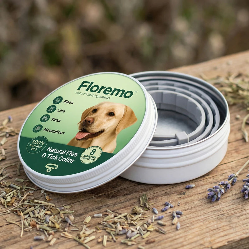 Protect Your Dog With Nature’s Most Powerful Essential Oils
